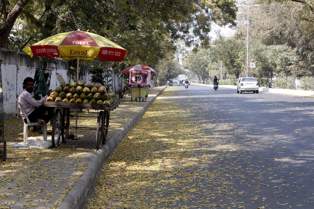 Фотография автора Pranay Shah