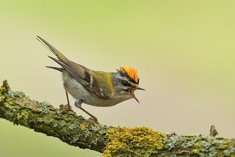 Photograph by Marek Wysocki