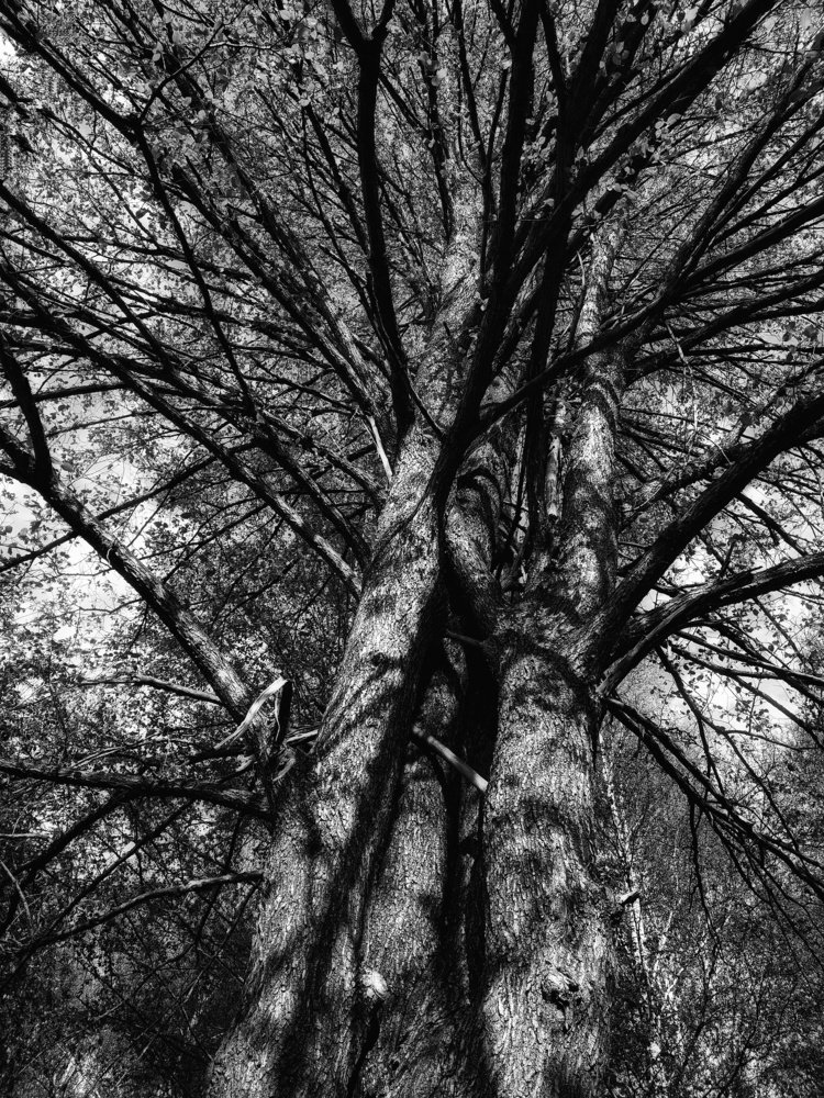 Photograph by Антон Е