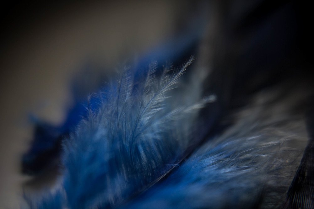 Photograph by Tatiana Potapenko