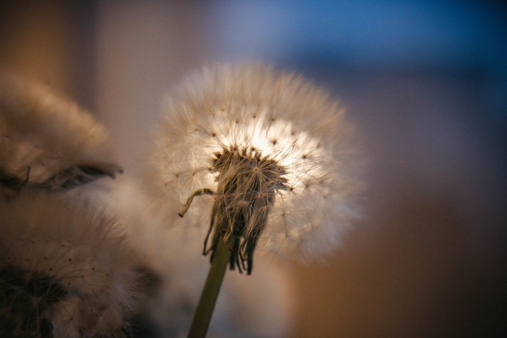 Photograph by Tatiana Potapenko