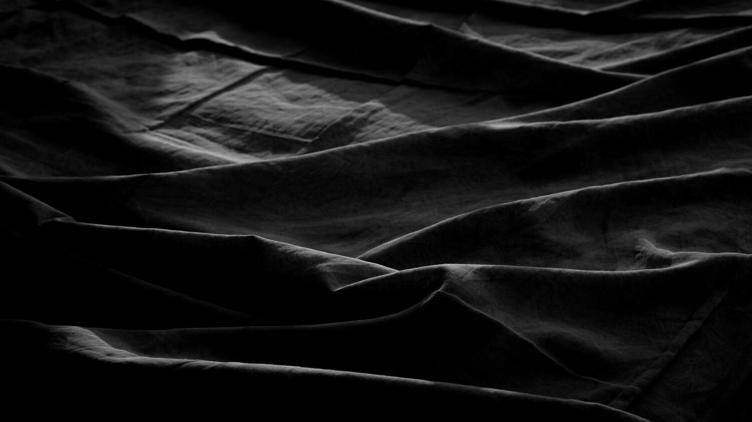 Photo #4446977