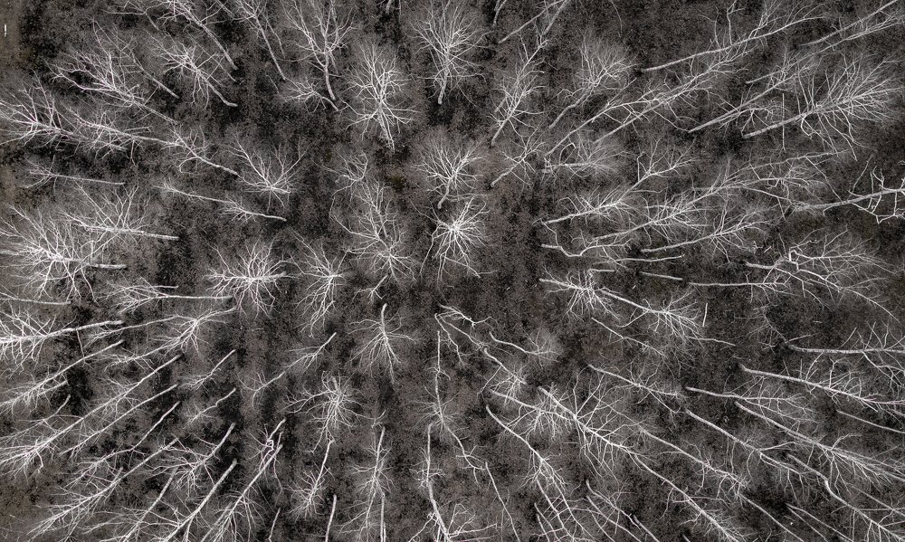 Безмятежность