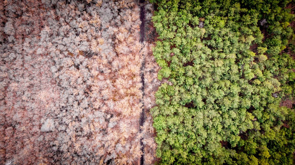 Весна близко