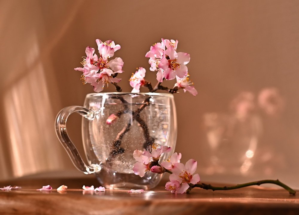 Миндаль... самый первый зацветает.