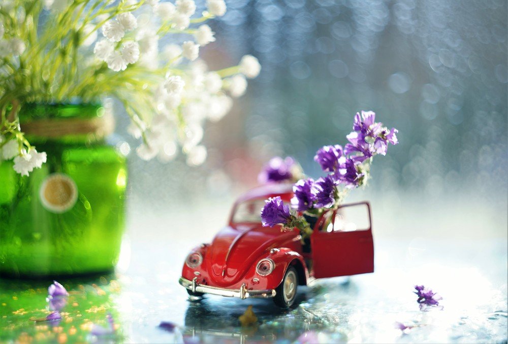 Photograph by Елена Шмарловская