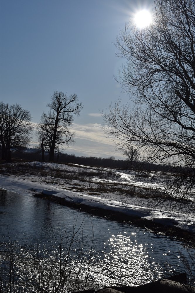 Фотография автора Наталья Сероглазова