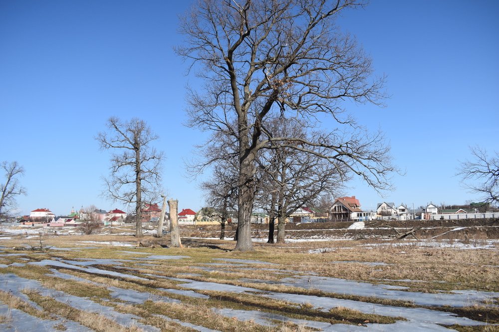 Фотография автора Наталья Сероглазова