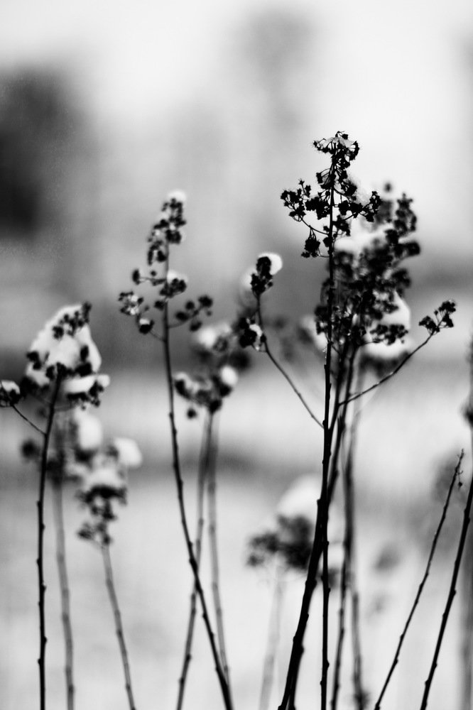 Photograph by Tatiana