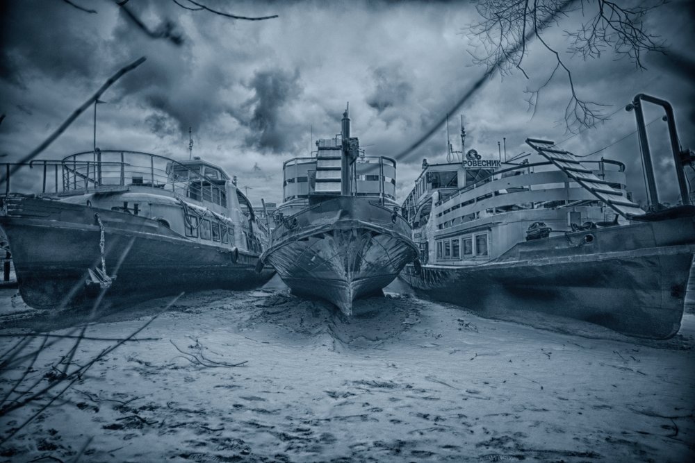 Три богатыря в зимней спячке.