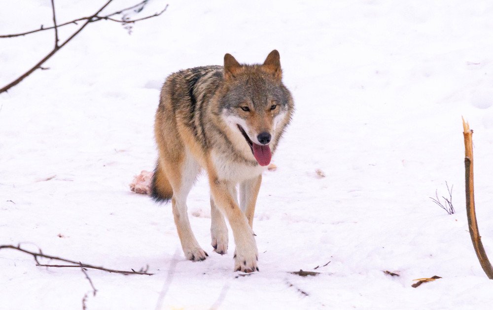 Photograph by Павел Невенчаный