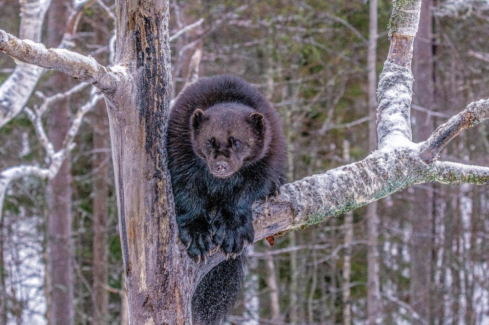Photograph by Павел Невенчаный