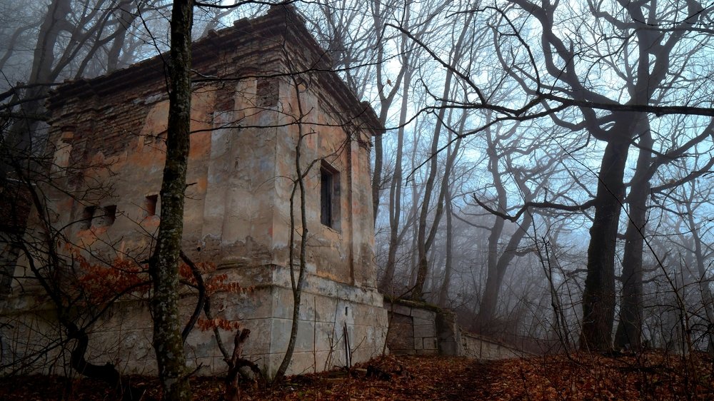 Photograph by Сергей Камышов