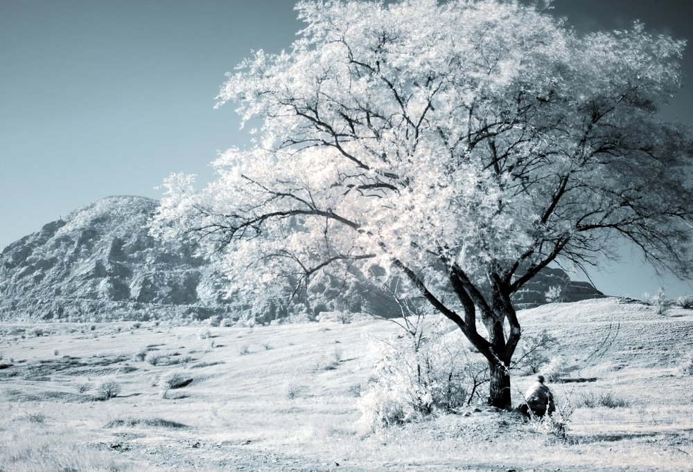 Photograph by Сергей Камышов