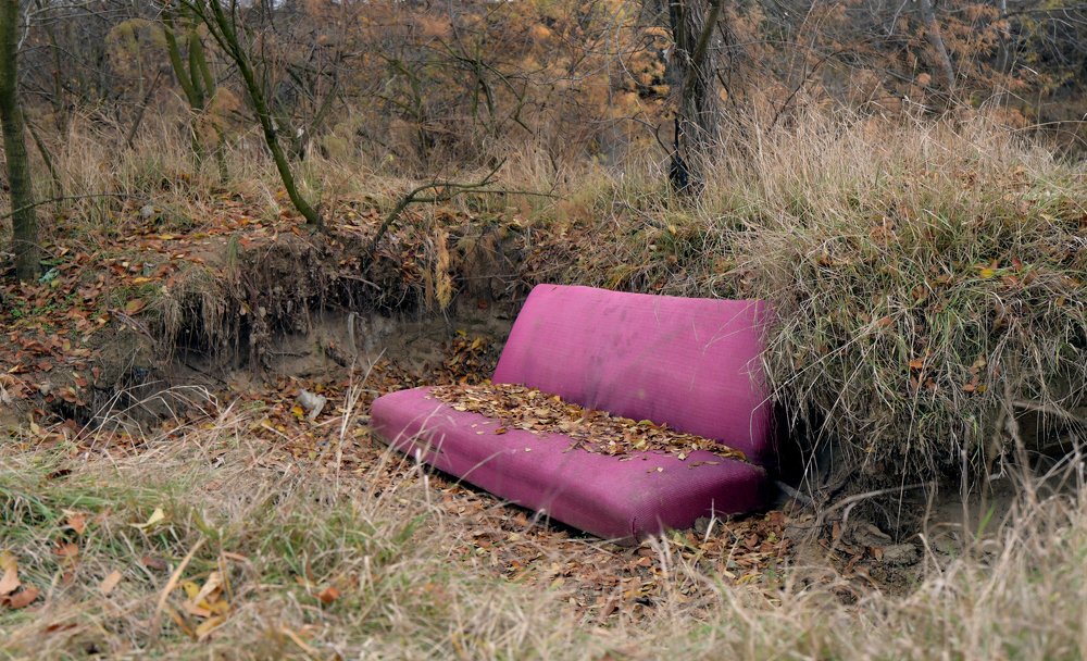 Photograph by Сергей Камышов