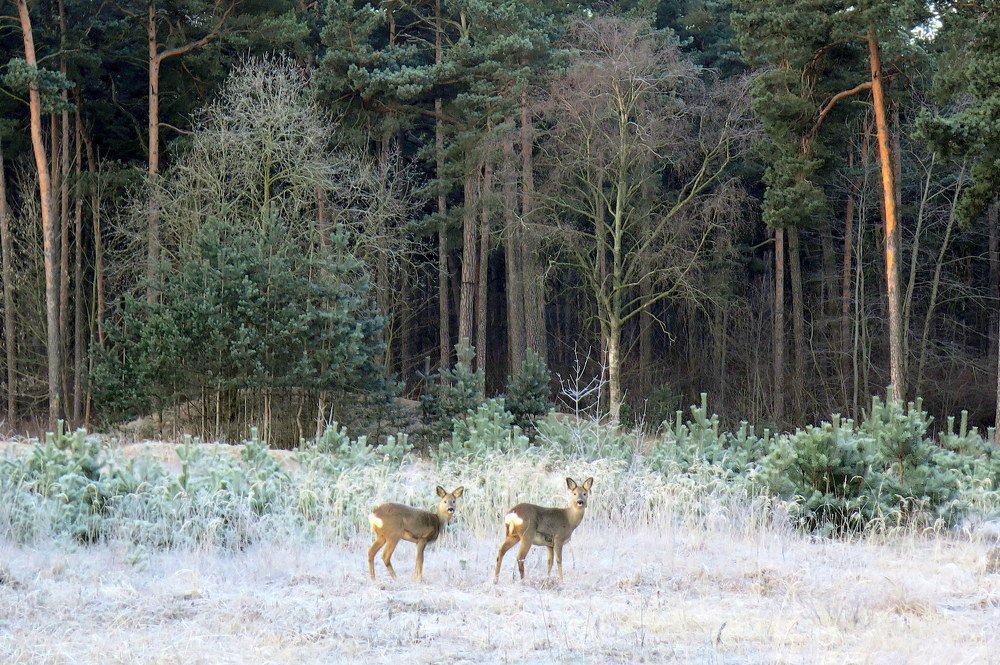 Фотография автора Ольга Завадилика