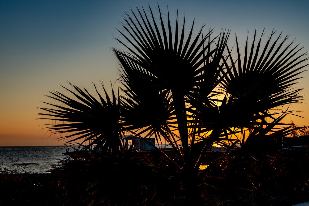 Photograph by Дммтрий Воробьев