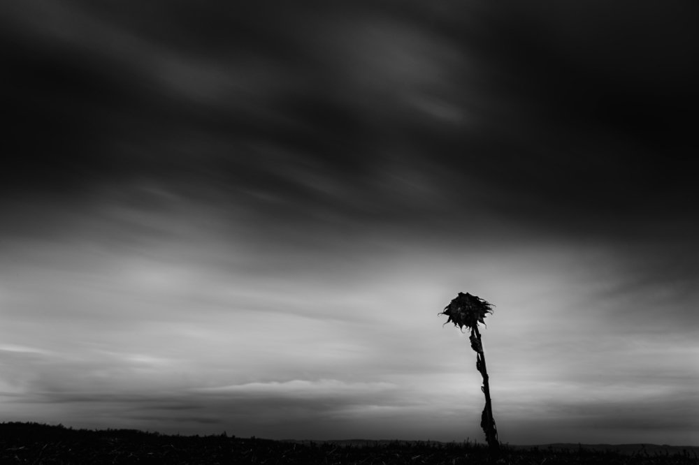 Photograph by Nikifor Todorov