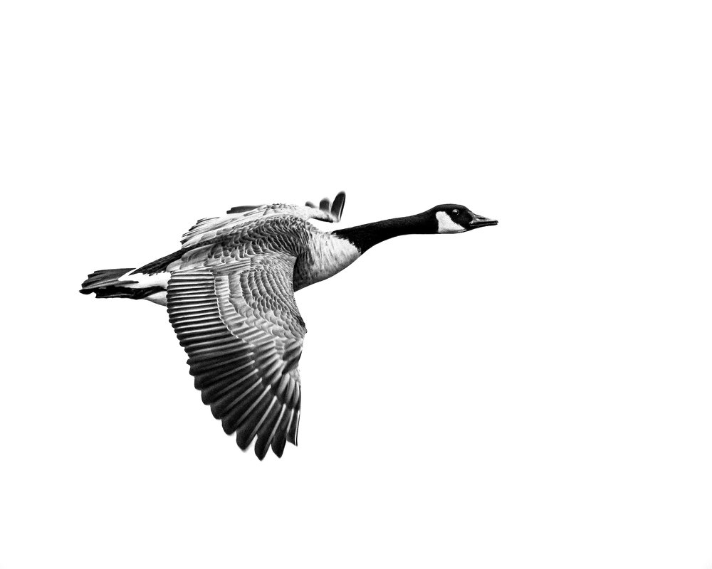 Photograph by JAMES BAILEY