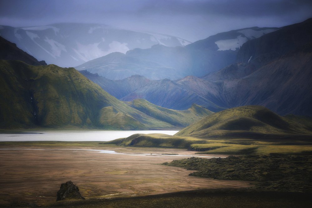 Цветные сны зелёной планеты