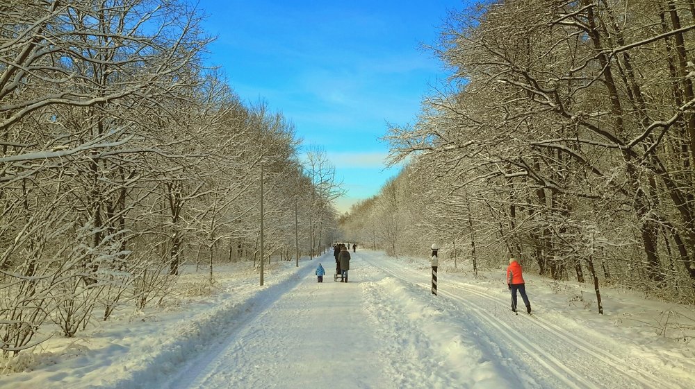 Photograph by Борис Каширин