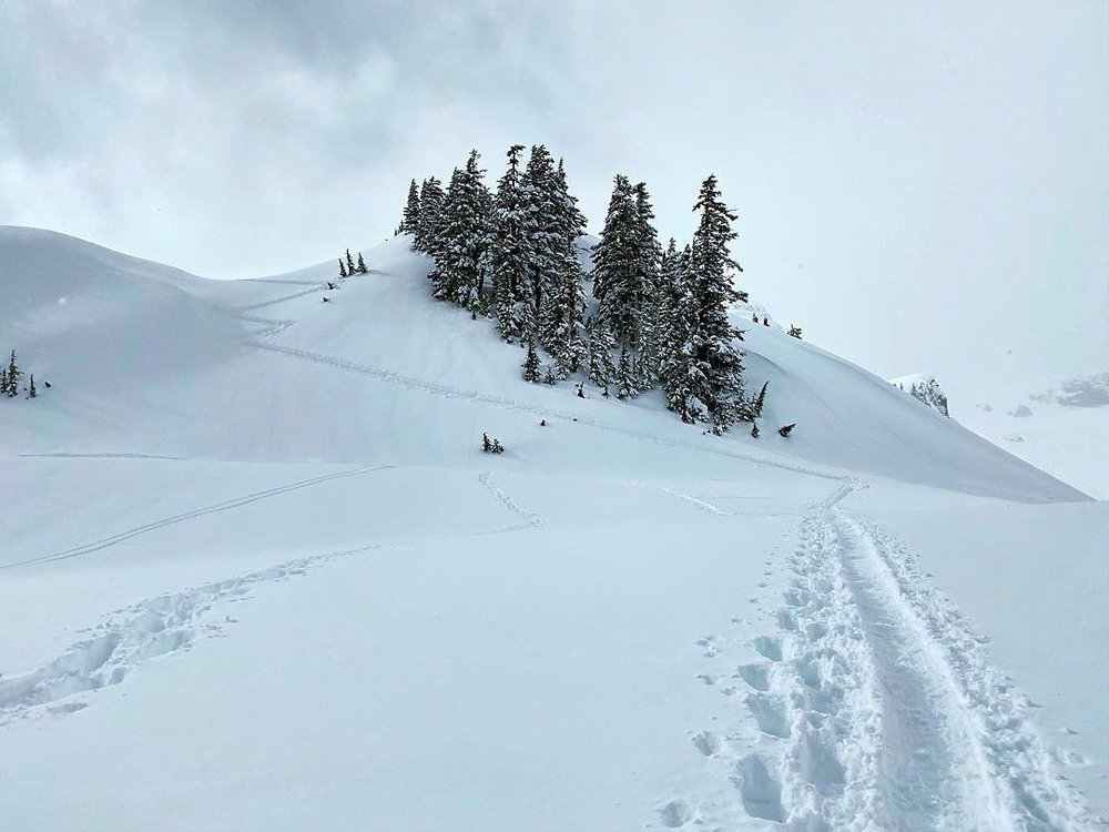 Photograph by Nikolay Gorbatenko