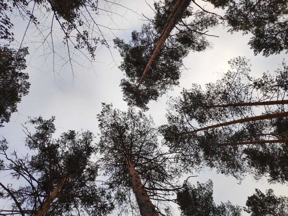 Фотография автора Darya Leonteva