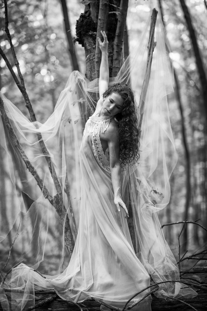 Photograph by Gerald Johnson