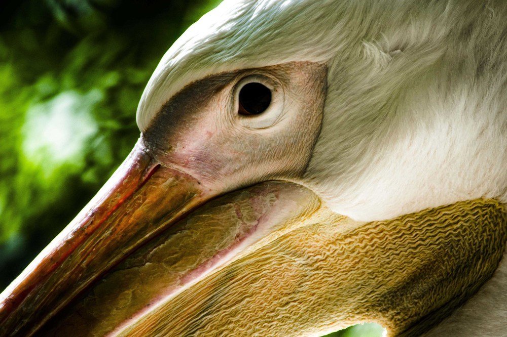 Photograph by Victoria Krasyuk