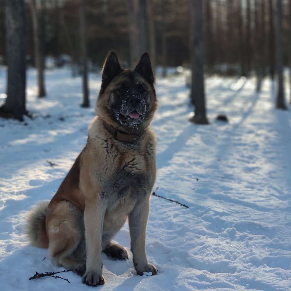 Photograph by Лидия Коршкова