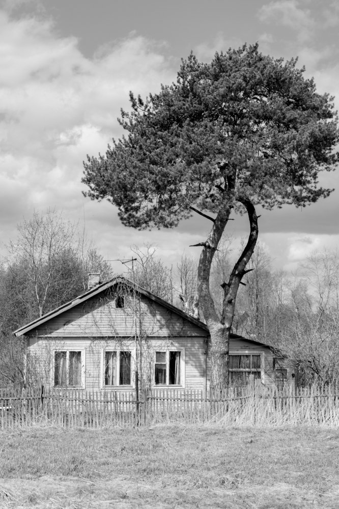 Домик в деревне