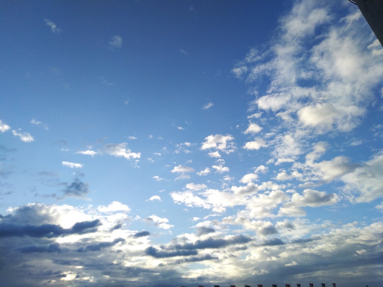 Photo #4447749