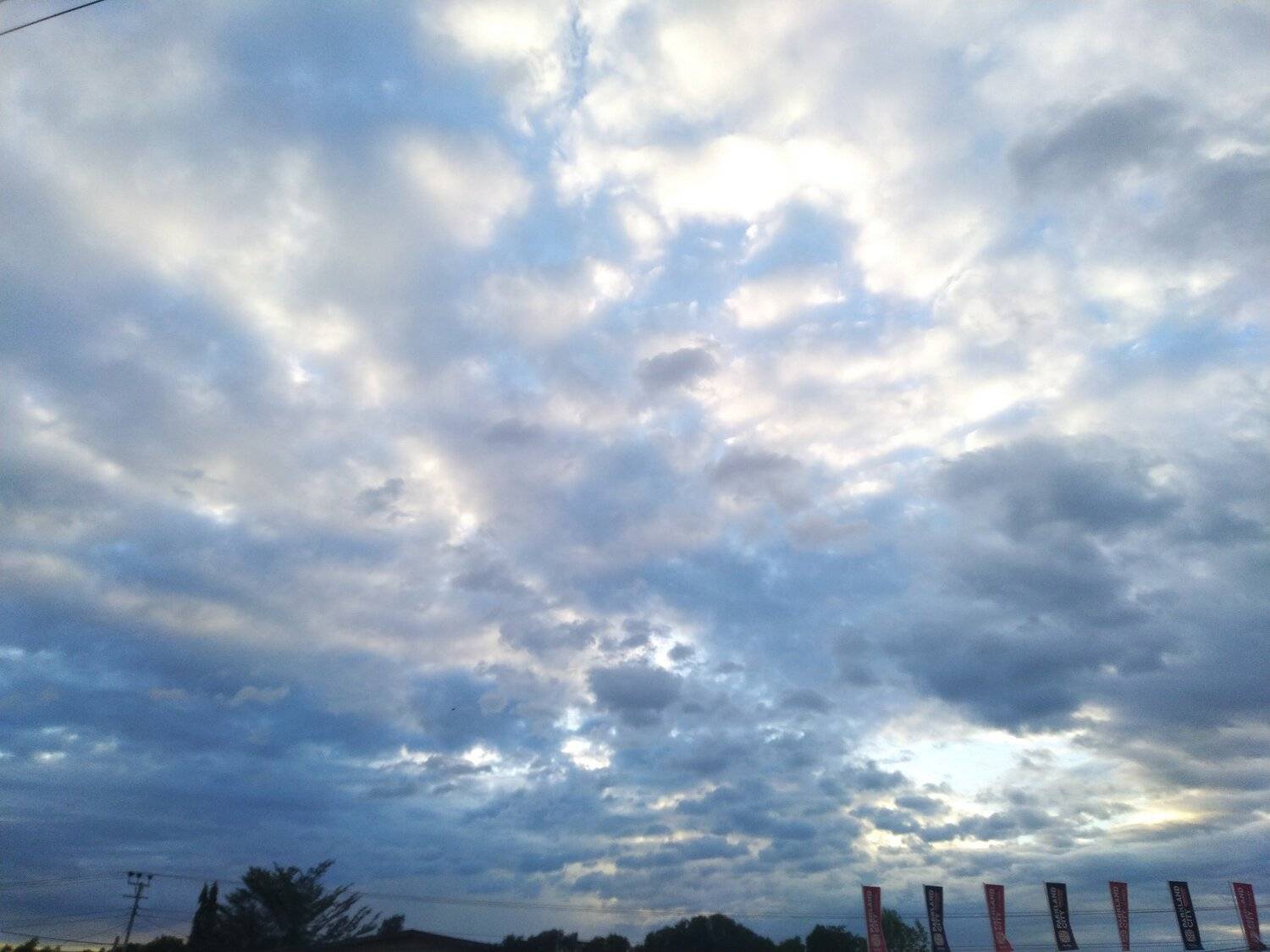 Photo #4447750