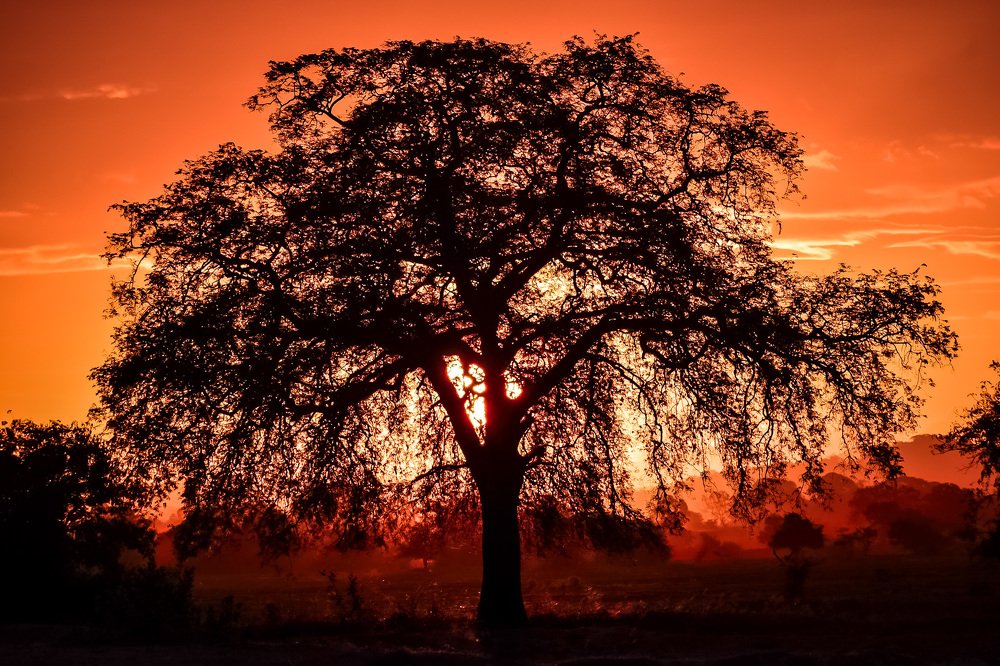 Photograph by muhammed sifnas abdul majeed