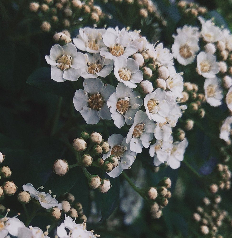 Photograph by Юлия Авсеенко