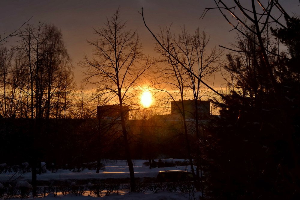 Photograph by НИНА АВЕРЬЯНОВА