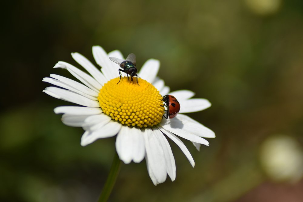 Photograph by Zarak Naeem