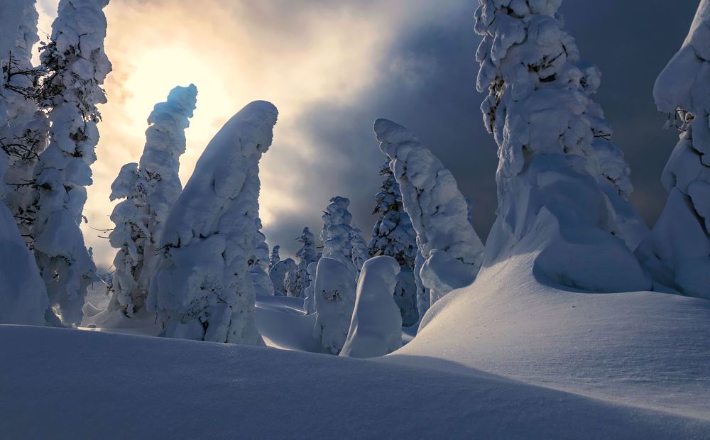 Photograph by Marc-Alain Ferragne