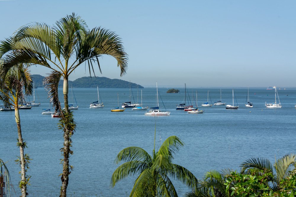 Photograph by Aparecido Donizete de Miranda