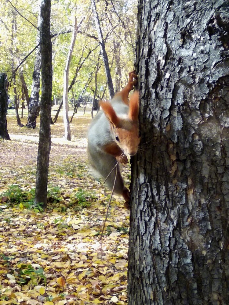 Photograph by Оксана