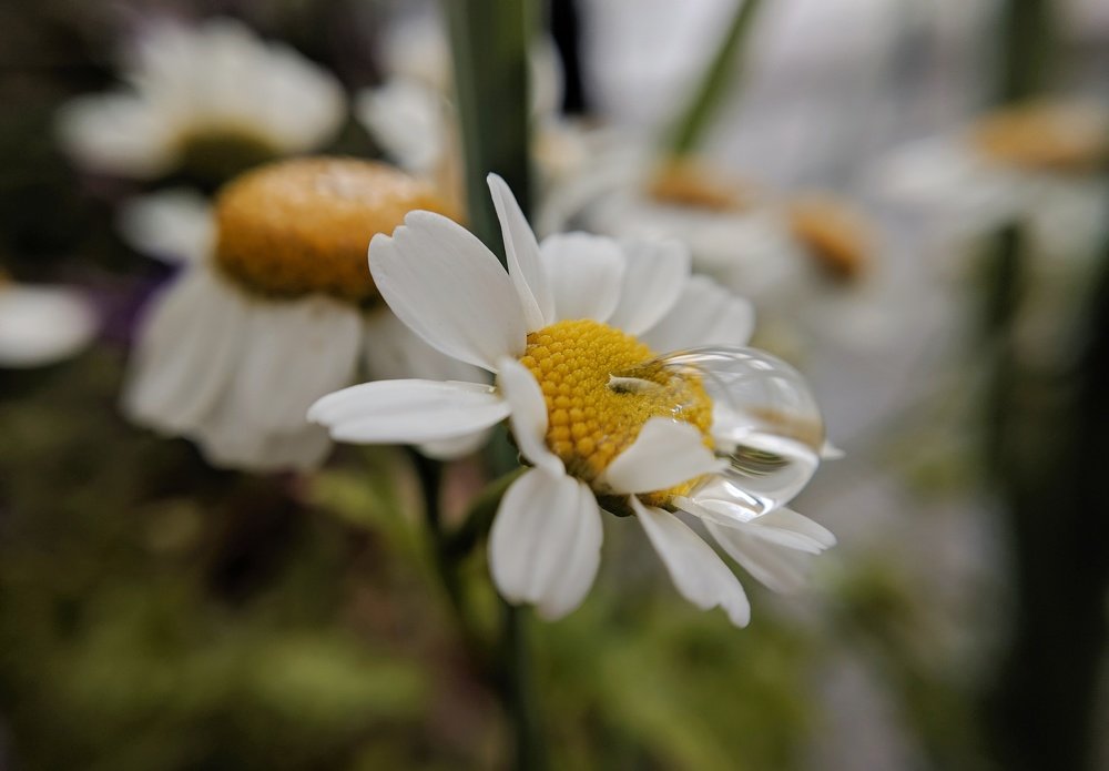 Photograph by Наиль Шакиров