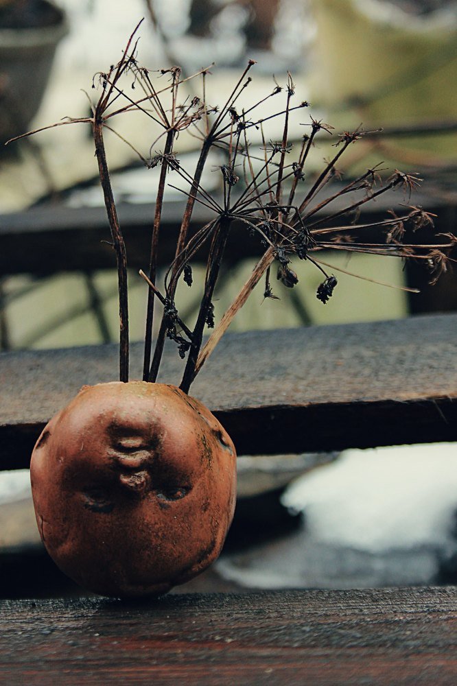 Photograph by Нина Минченко