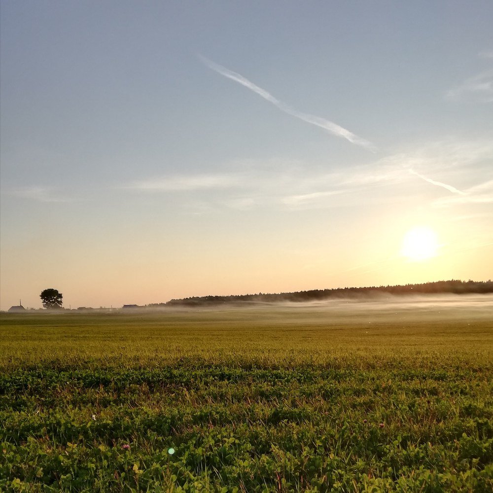 Photograph by Яна Фоминых