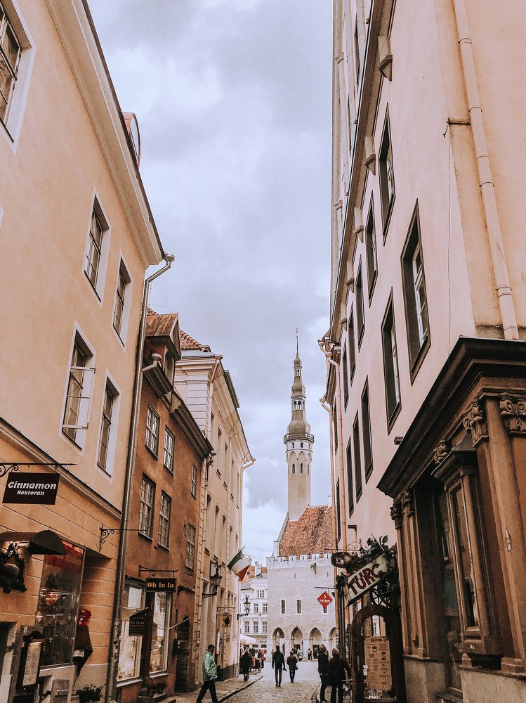 Photograph by Arianna Vernik