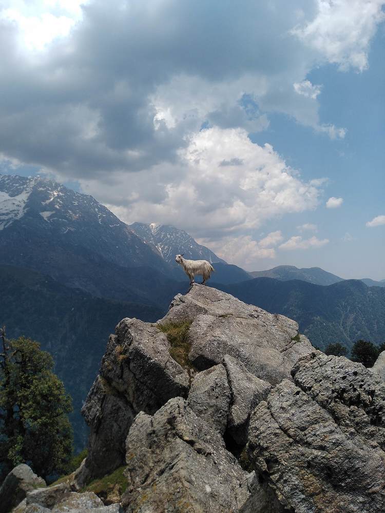 Photograph by Ayush Malaan