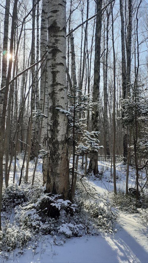 Photograph by Любовь Макарова