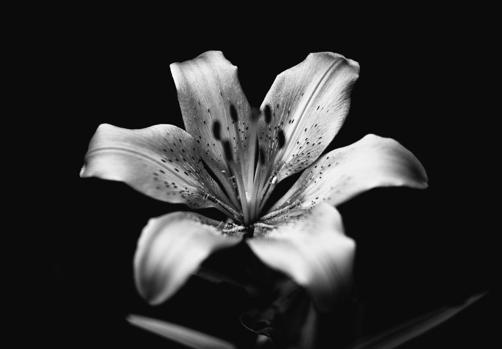 Photograph by Роман Павлов