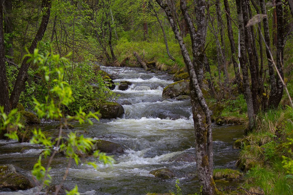 Photograph by Гаврилов Александр