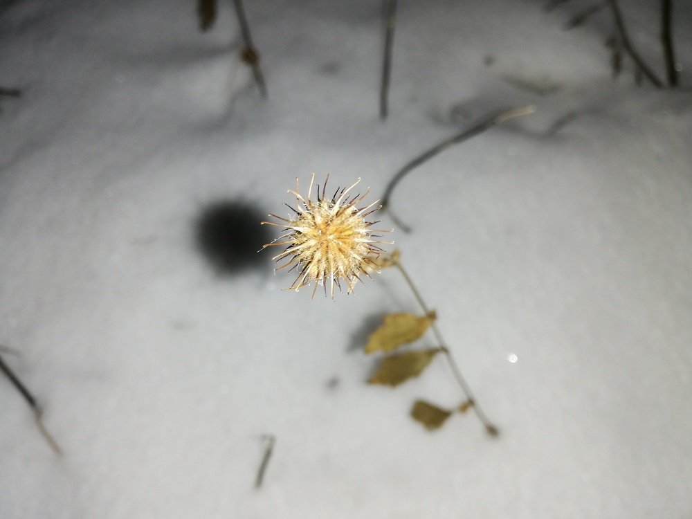 Photograph by Яна Фоминых