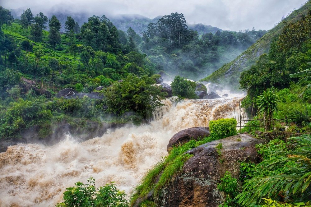 Photograph by Avi Jain